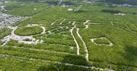 Kuha Playa del Carmen